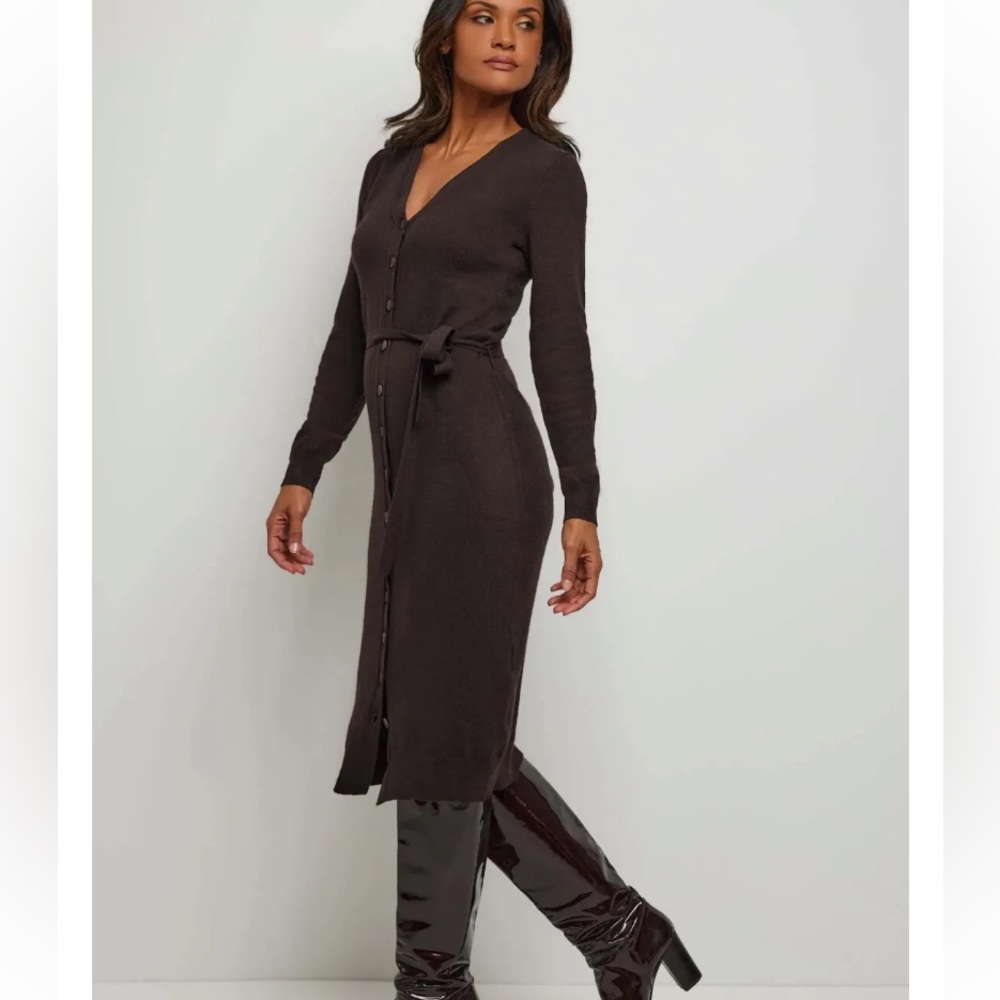 Anatomie Avery expresso ladies small wool cashmere dress new
